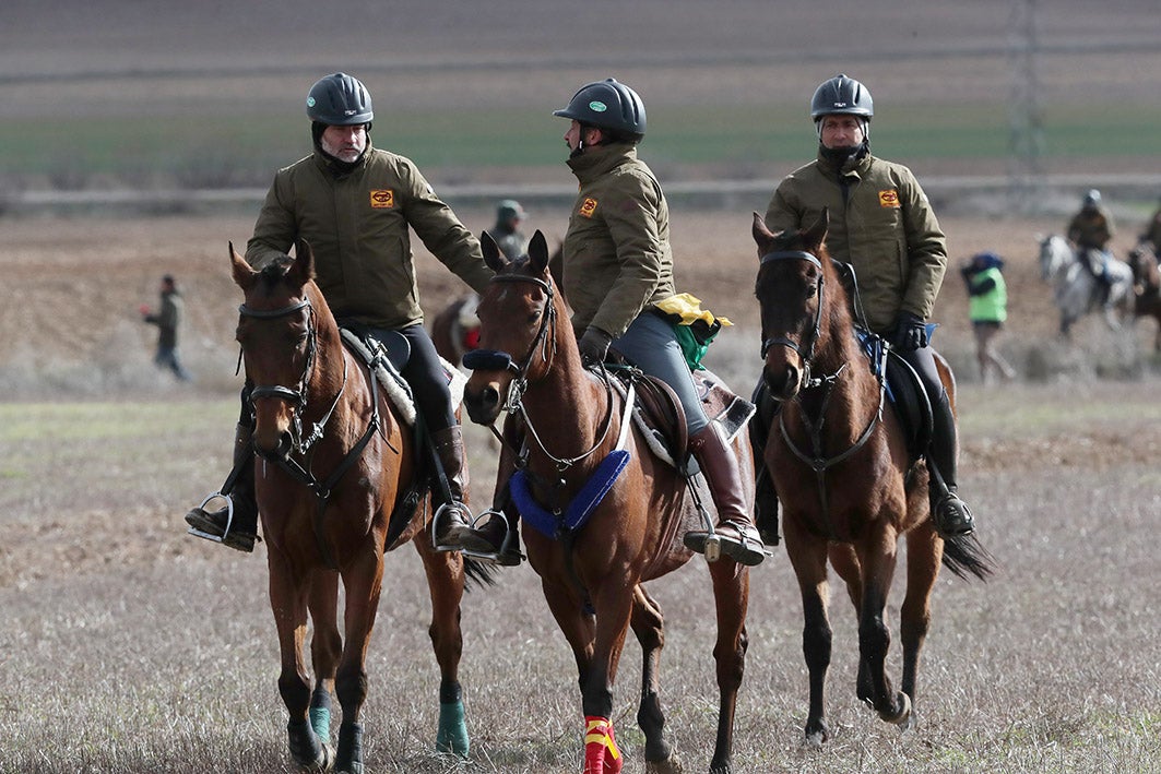 Fotos: La vallisoletana Pelaya de Safesa, campeona de España de Galgos