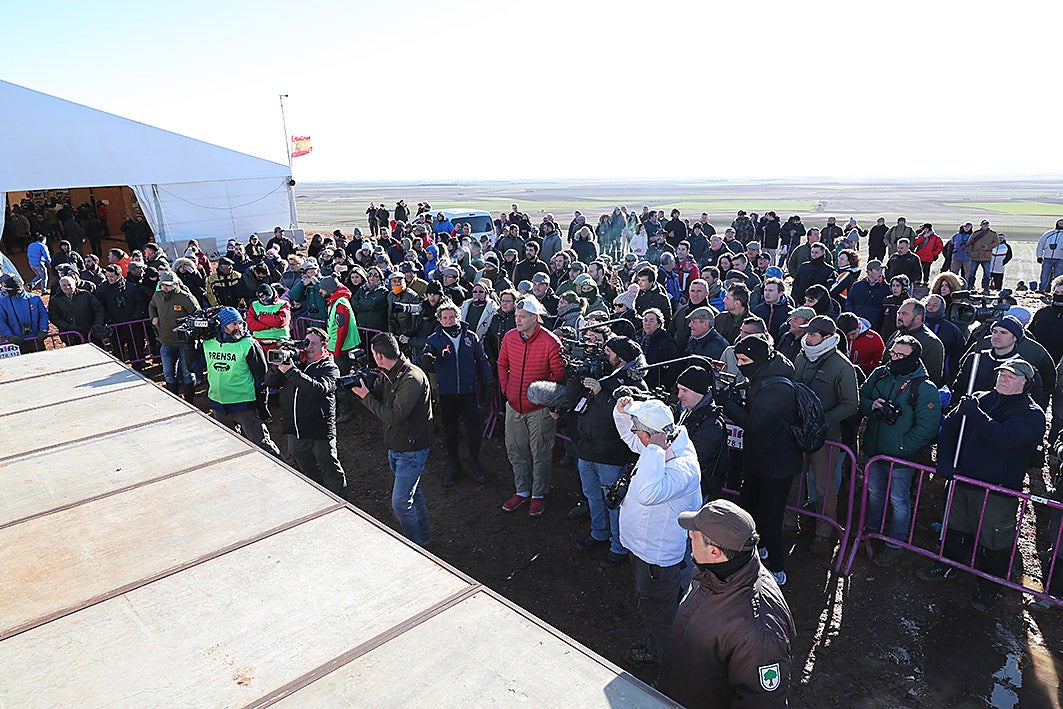 Fotos: La vallisoletana Pelaya de Safesa, campeona de España de Galgos