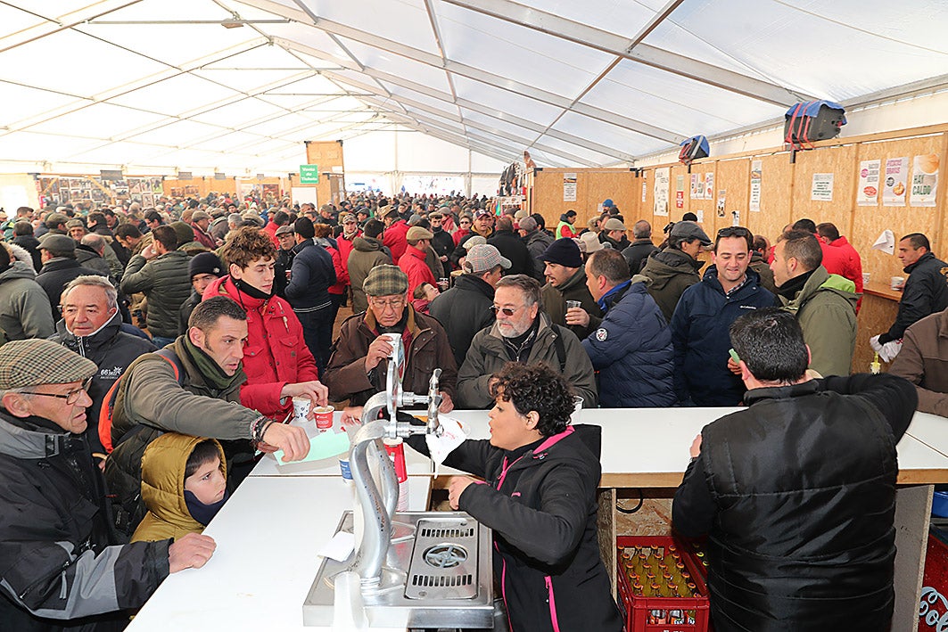 Fotos: La vallisoletana Pelaya de Safesa, campeona de España de Galgos