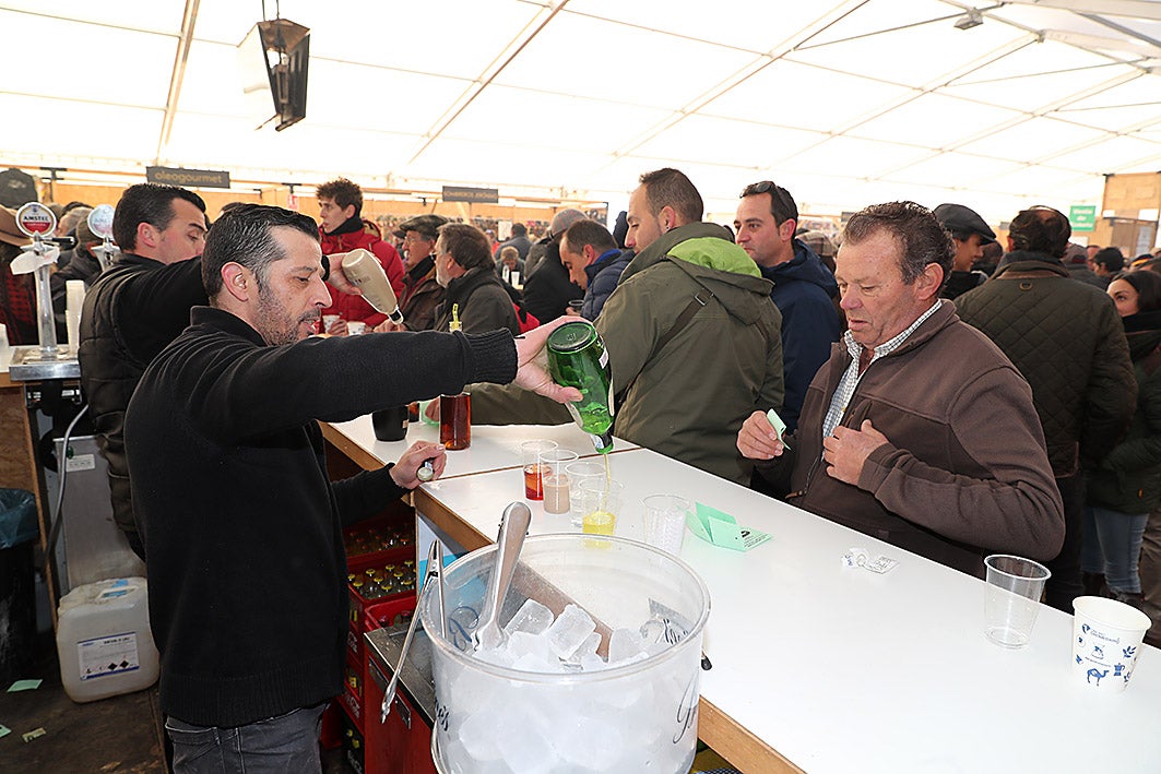 Fotos: La vallisoletana Pelaya de Safesa, campeona de España de Galgos