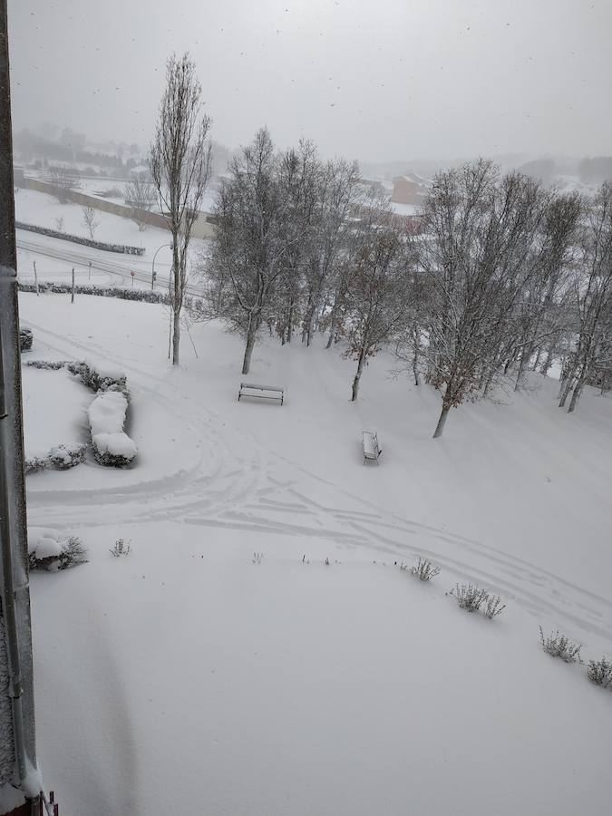 Fotos: Temporal de nieve en Guardo