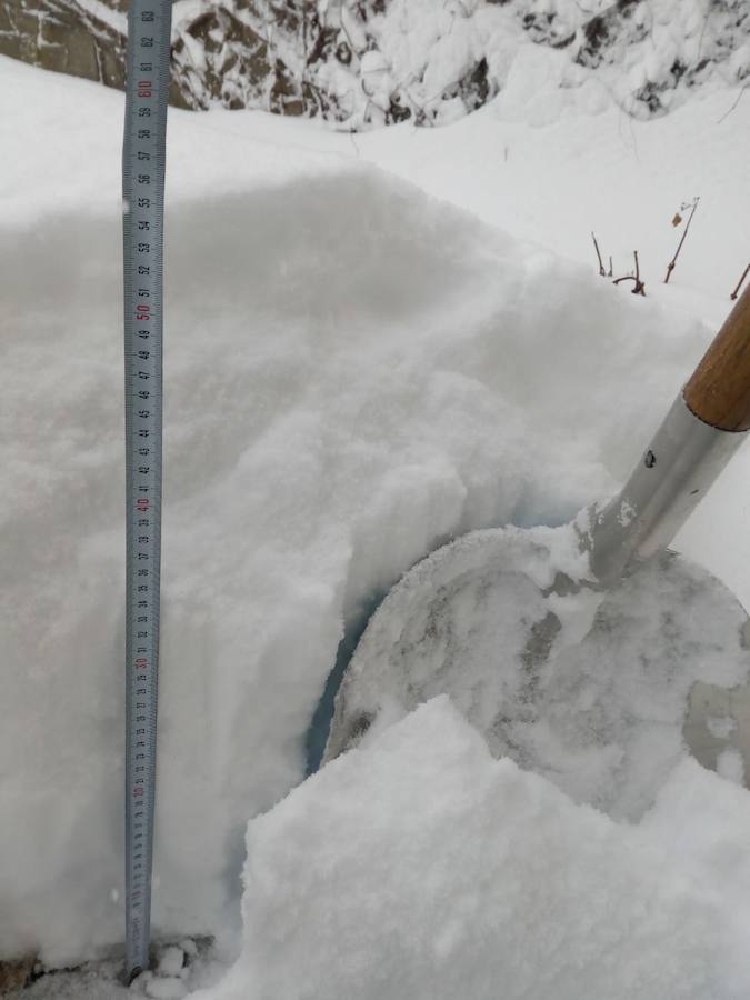 Fotos: Temporal de nieve en Guardo
