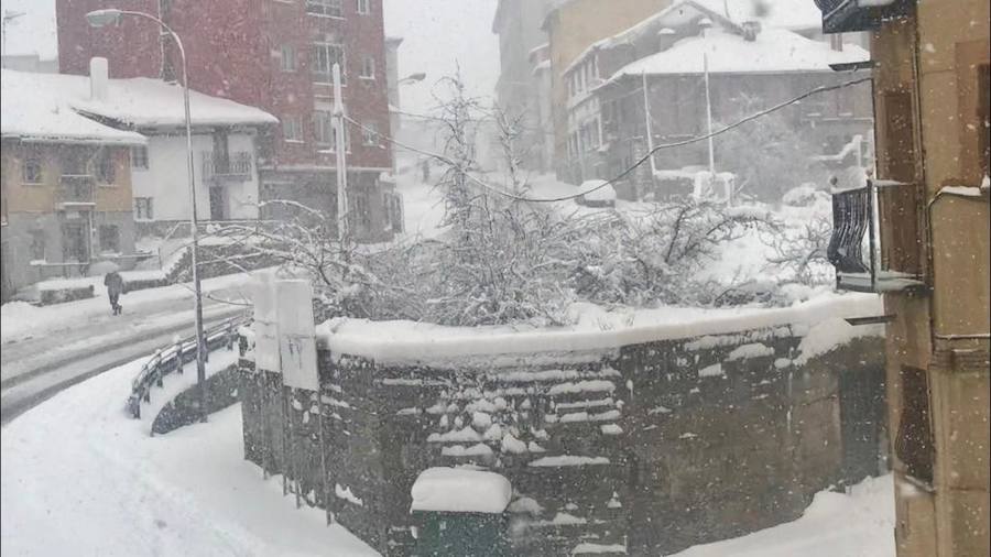 Fotos: Temporal de nieve en Guardo