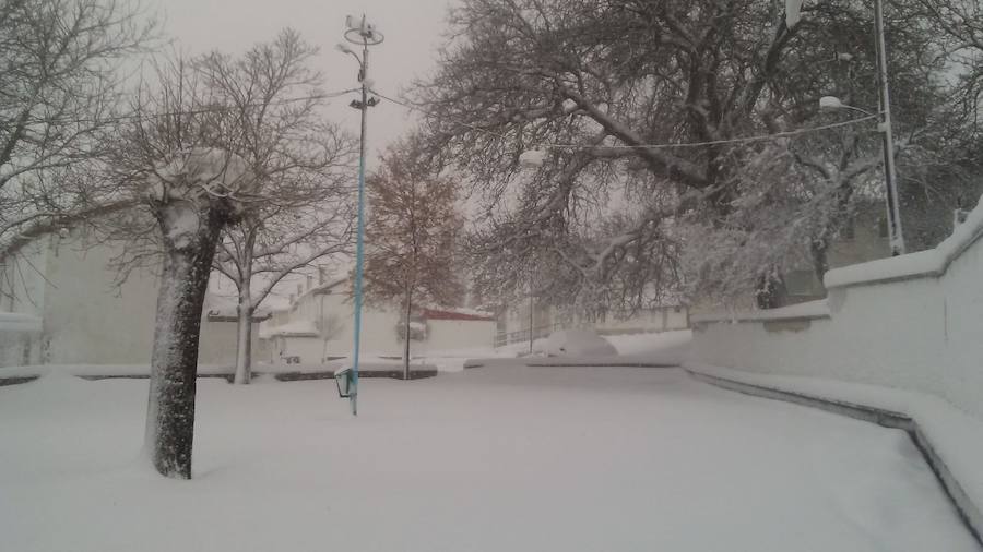 Fotos: Temporal de nieve en Guardo