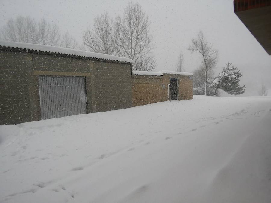 Fotos: Temporal de nieve en Guardo
