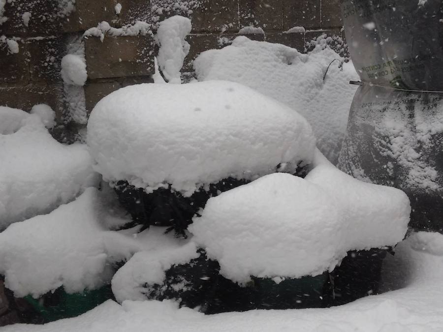 Fotos: Temporal de nieve en Guardo