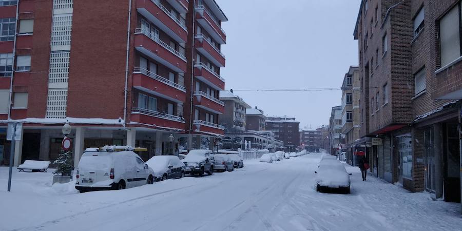 Fotos: Temporal de nieve en Guardo