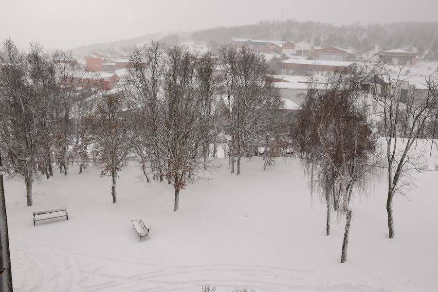 Fotos: Temporal de nieve en Guardo
