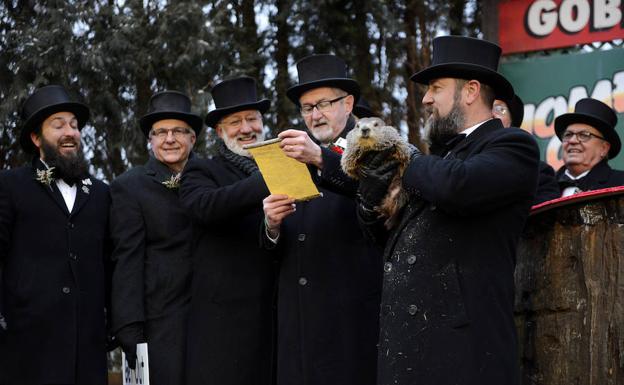 La marmota Phil, durante la ceremonia celebraba en Punxsutawney (Pensilvania).