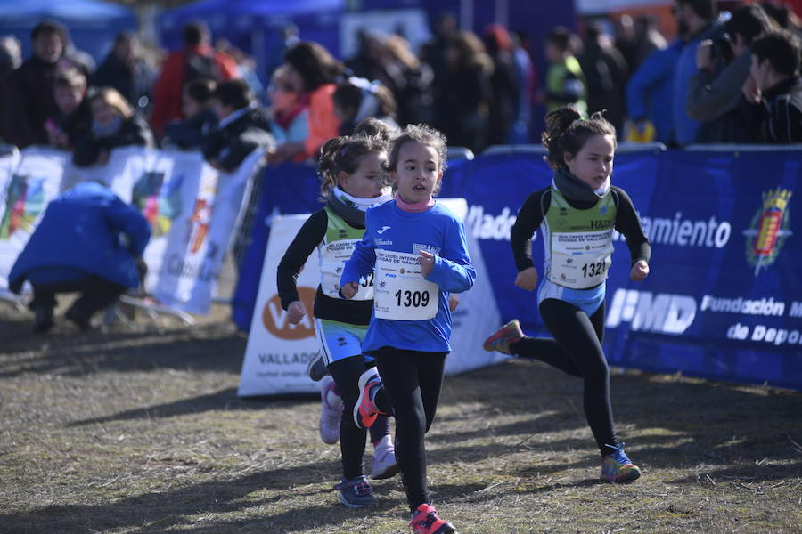 Fotos: Fotografías del XXXI Cross Ciudad de Valladolid (1/4)