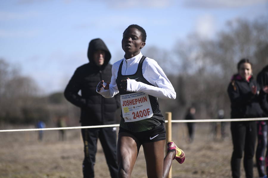 Fotos: Fotografías del XXXI Cross Ciudad de Valladolid (1/4)