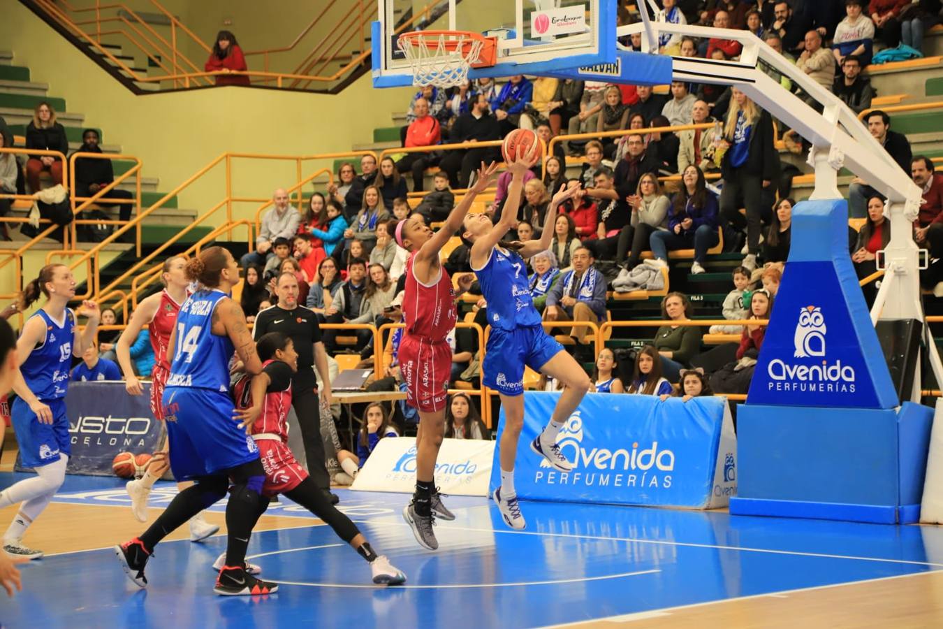 Fotos: Espectacular triunfo del Avenida en el estreno en casa de Ortega y Loyd ante el Araski (81-44)