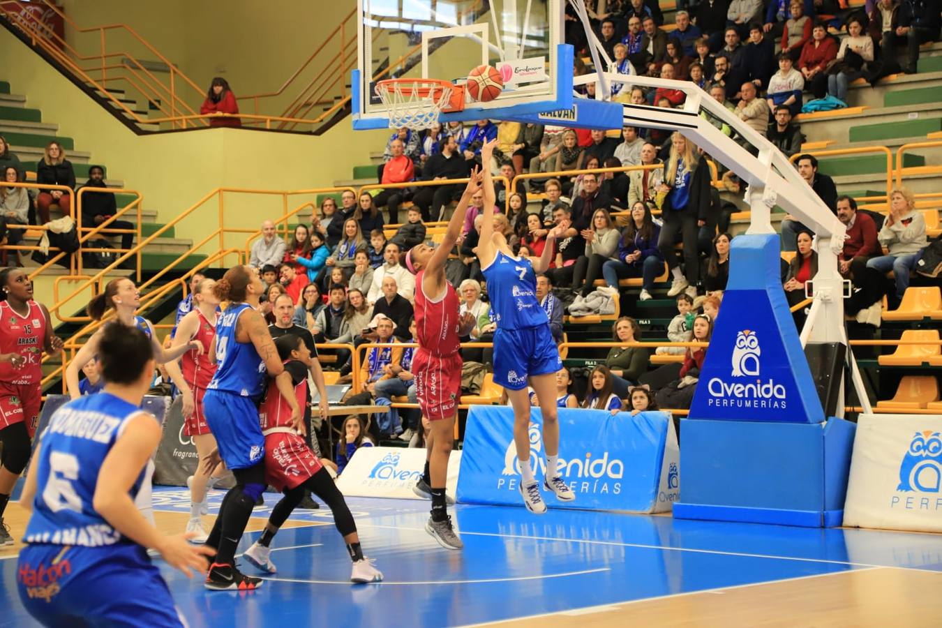 Fotos: Espectacular triunfo del Avenida en el estreno en casa de Ortega y Loyd ante el Araski (81-44)