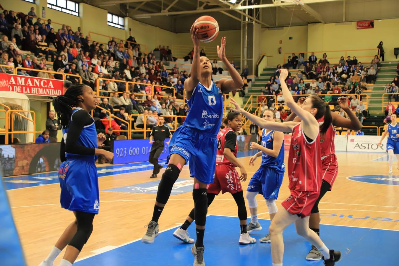 Fotos: Espectacular triunfo del Avenida en el estreno en casa de Ortega y Loyd ante el Araski (81-44)