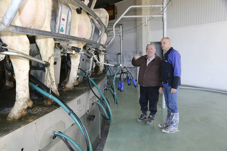 Fotos: Finca ganadera Santa Cruz en Ribas de Campos, Palencia