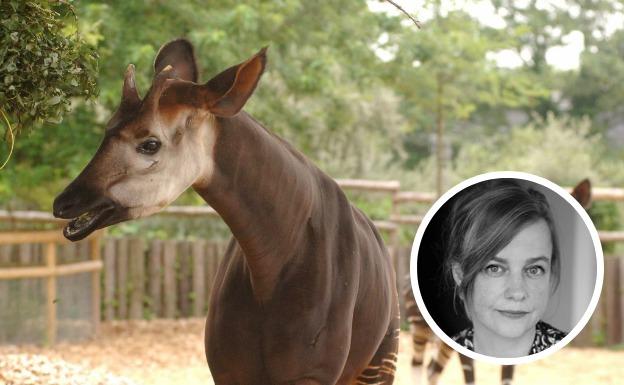 Un Okapi y, en detalle, la escritora alemana Mariana Leky.