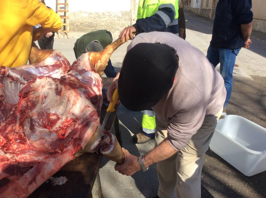 Fotos: Robladillo celebra su tradicional matanza