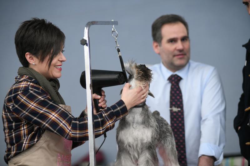 La Feria de Valladolid celebra este fin de semana una nueva edición de Fimascota, la feria de los animales de compañía, un evento en el que se desarrollan actividades para profesionales y público como los concursos nacionales e internacionales caninos, felinos y de avicultura artística, el campeonato de peluquería canina o las exposiciones de conejos de raza y de fauna exótica.