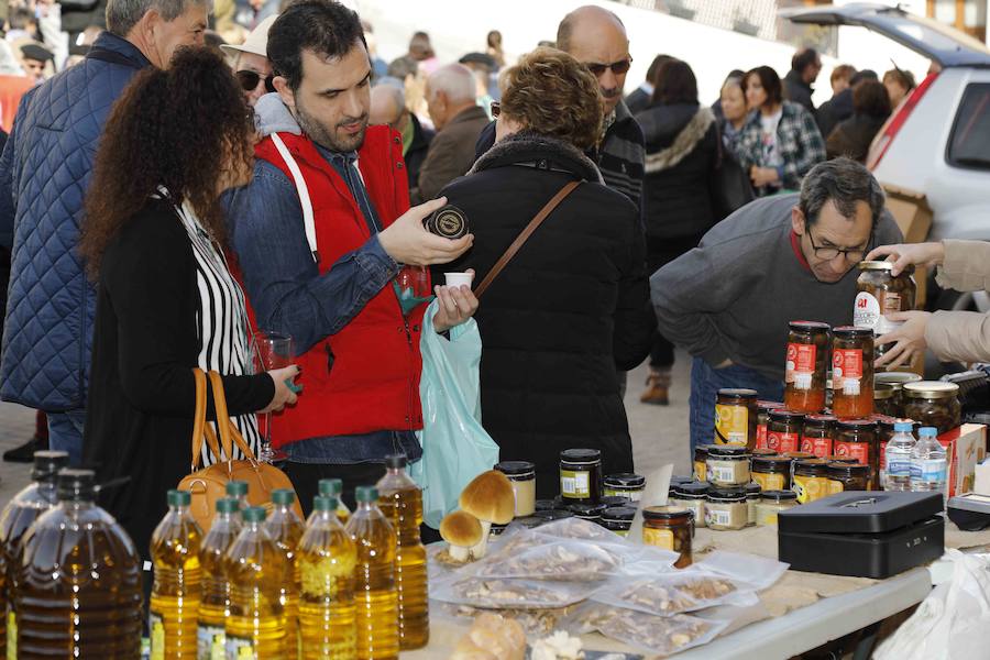 Fotos: XI Jornada de y Vino de la Ribera de Duero en el Valle del Cuco