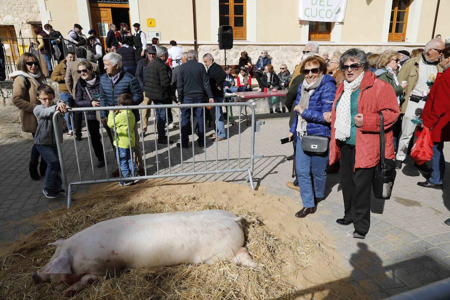 Fotos: XI Jornada de y Vino de la Ribera de Duero en el Valle del Cuco