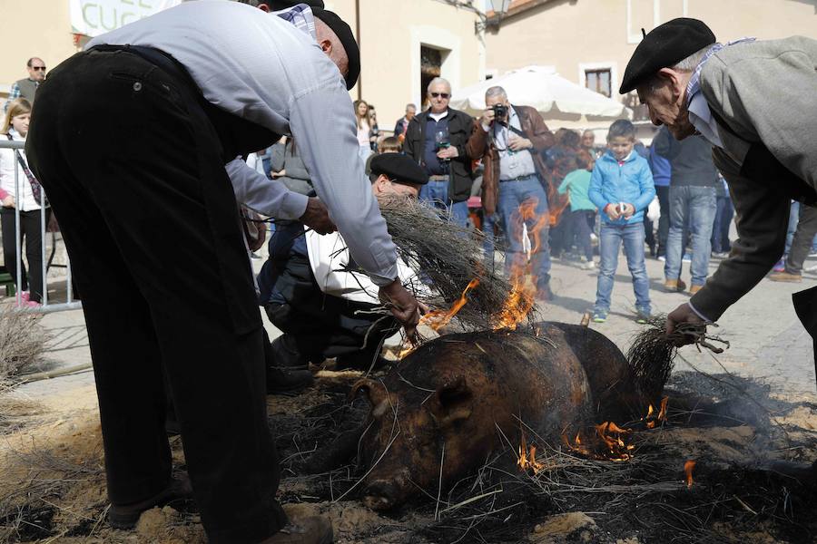 Fotos: XI Jornada de y Vino de la Ribera de Duero en el Valle del Cuco