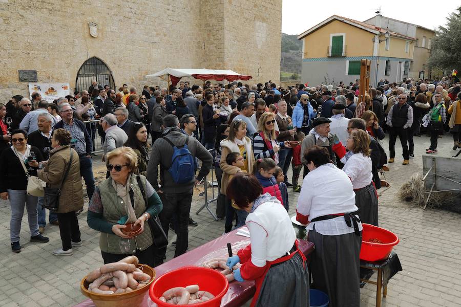 Fotos: XI Jornada de y Vino de la Ribera de Duero en el Valle del Cuco