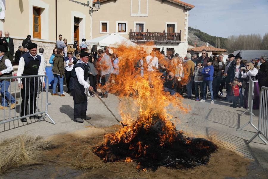Fotos: XI Jornada de y Vino de la Ribera de Duero en el Valle del Cuco