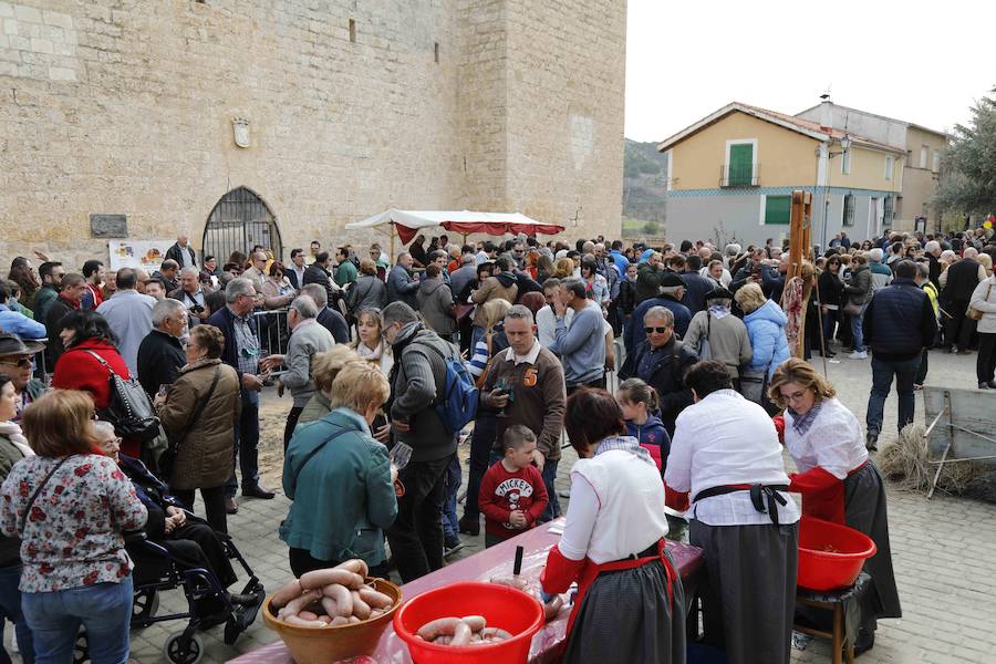 Fotos: XI Jornada de y Vino de la Ribera de Duero en el Valle del Cuco