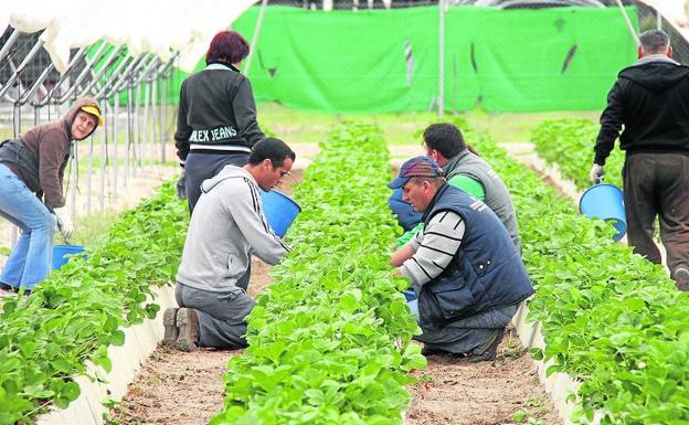 Los extranjeros frenan la sangría de la despoblación en Cuéllar y los pueblos de su comarca