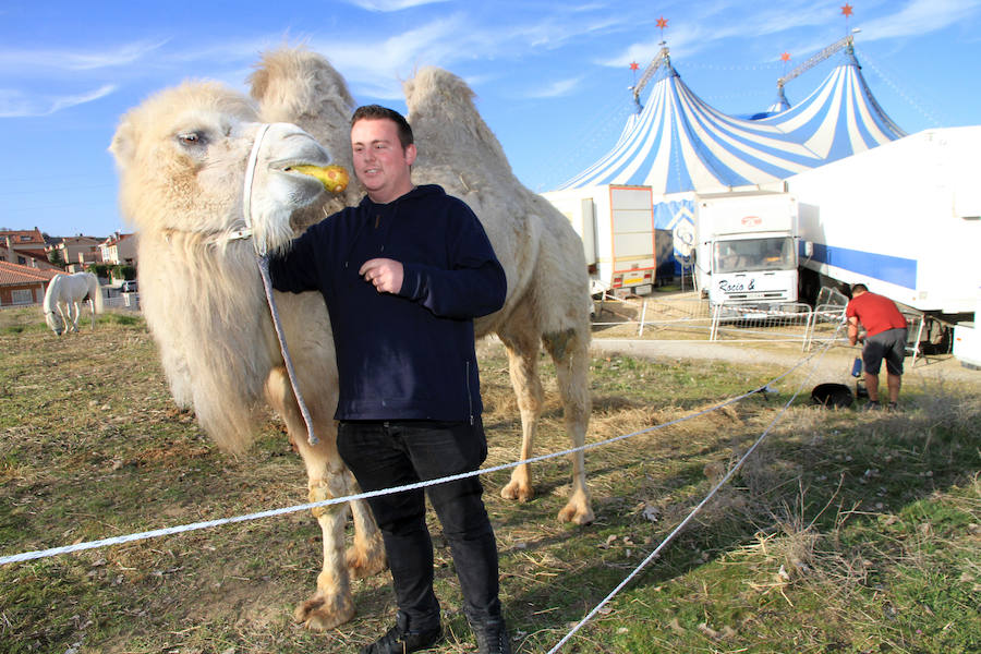 Fotos: Animales del Circo Quirós