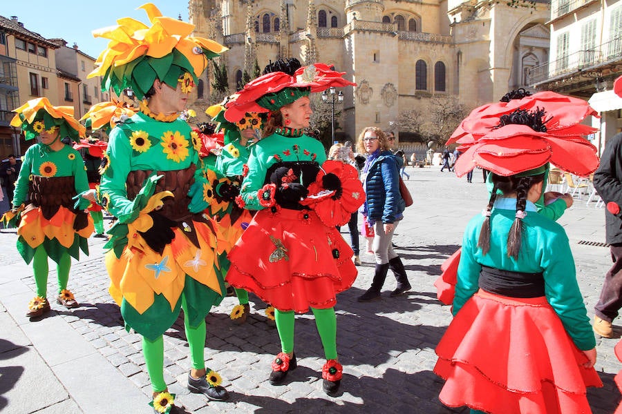 Fotos: Domingo Gordo de Carnanval