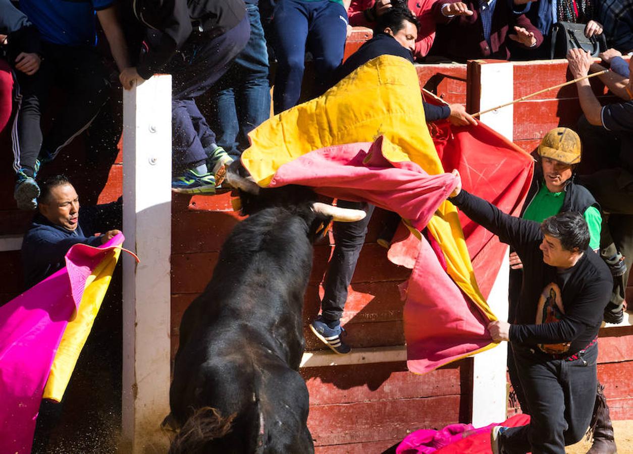 Fotos: Encierro y capea en Ciudad Rodrigo