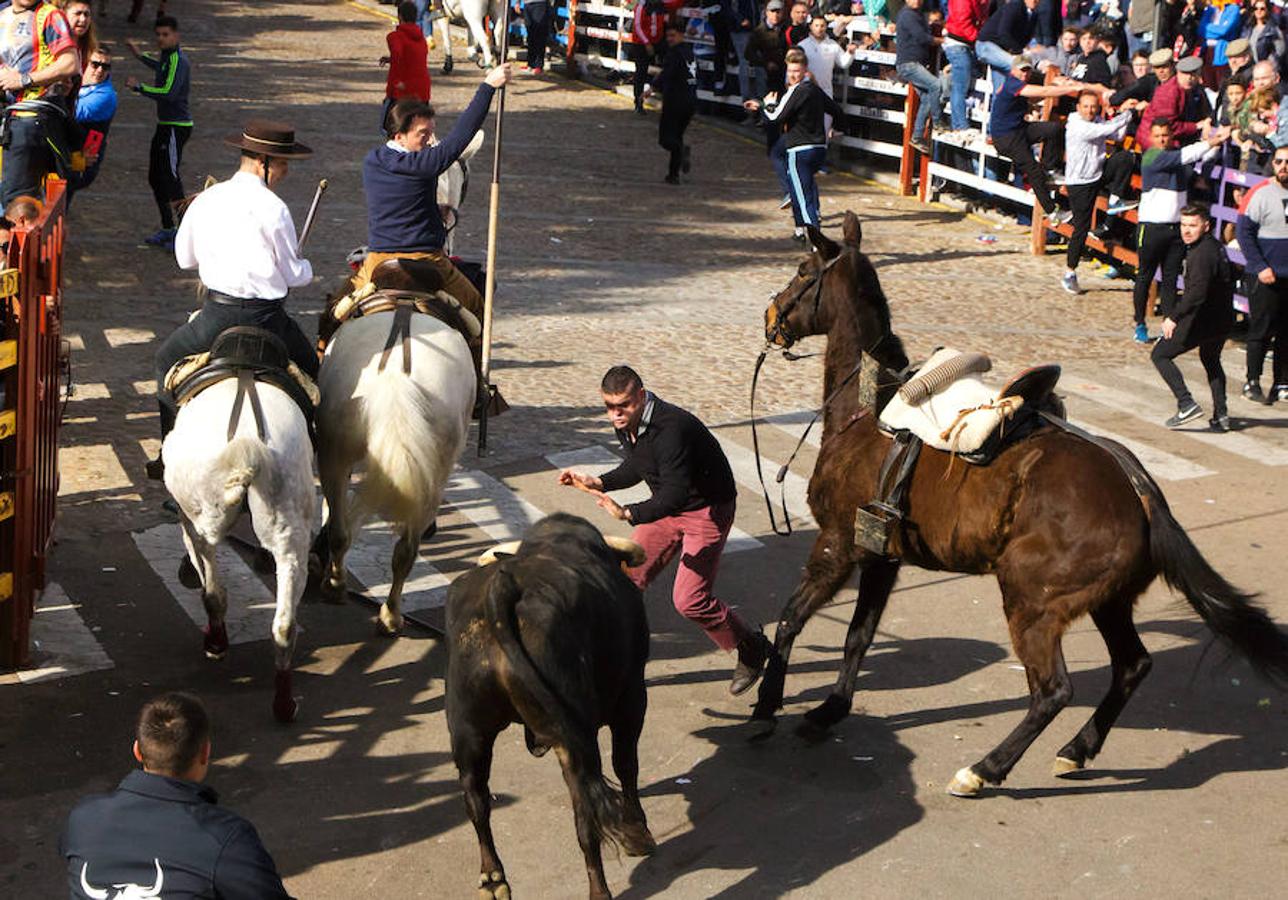 Fotos: Encierro y capea en Ciudad Rodrigo