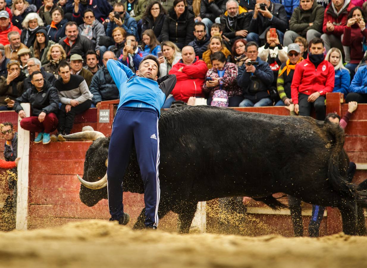 Fotos: Jornada del lunes en el Carnaval del Toro de Ciudad Rodrigo