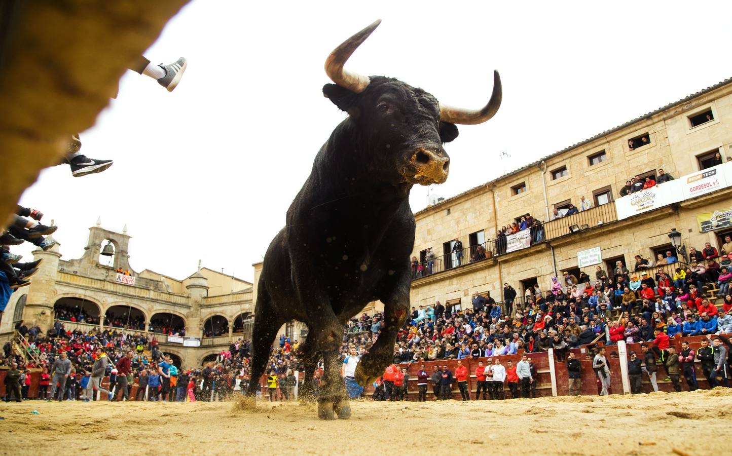 Fotos: Jornada del lunes en el Carnaval del Toro de Ciudad Rodrigo