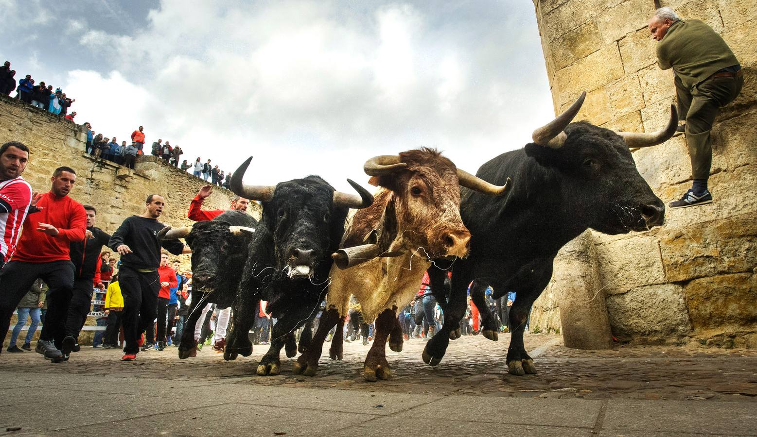 Fotos: Jornada del lunes en el Carnaval del Toro de Ciudad Rodrigo