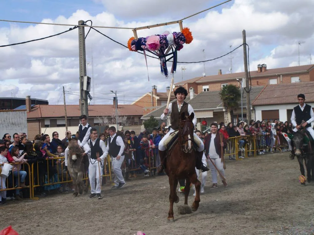 Fotos: Carrera de cintas en burro de los quintos en los carnavales de Pedrajas de San Esteban