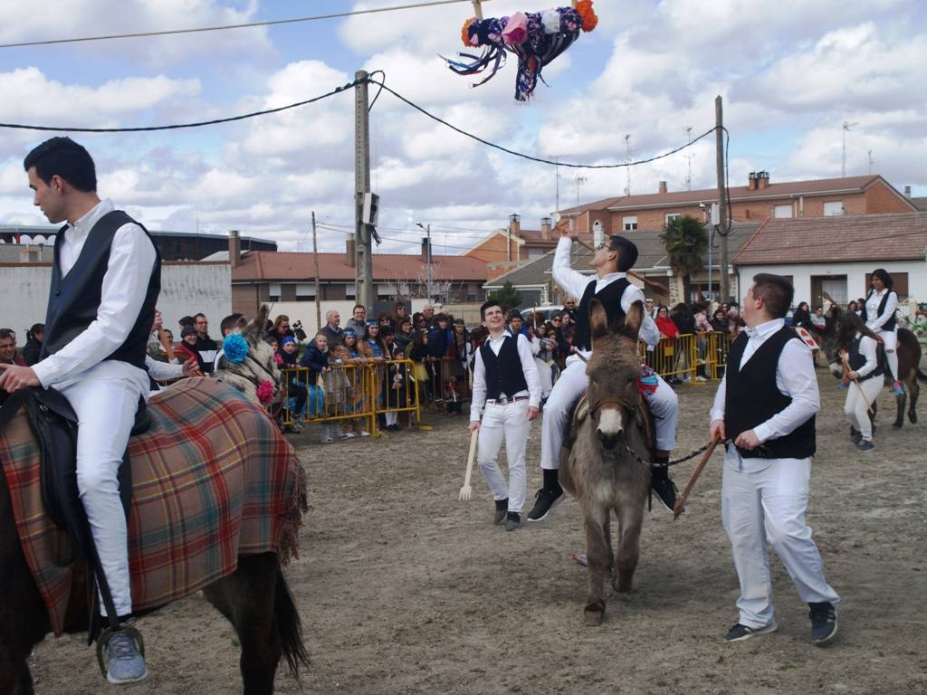 Fotos: Carrera de cintas en burro de los quintos en los carnavales de Pedrajas de San Esteban