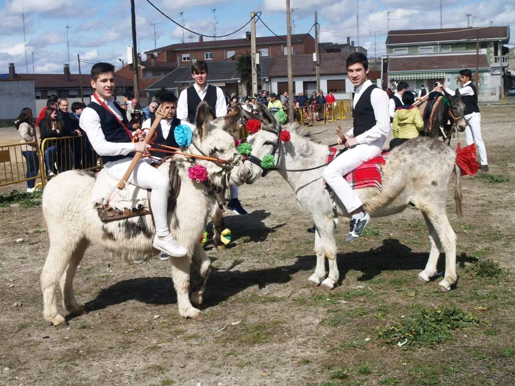 Fotos: Carrera de cintas en burro de los quintos en los carnavales de Pedrajas de San Esteban