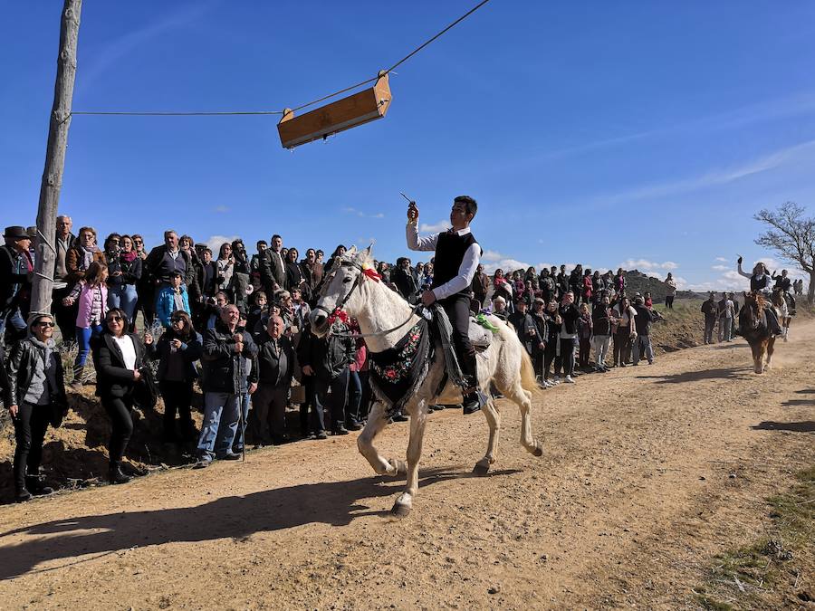 Fotos: Carrera de cintas de los quintos de Torrelobatón