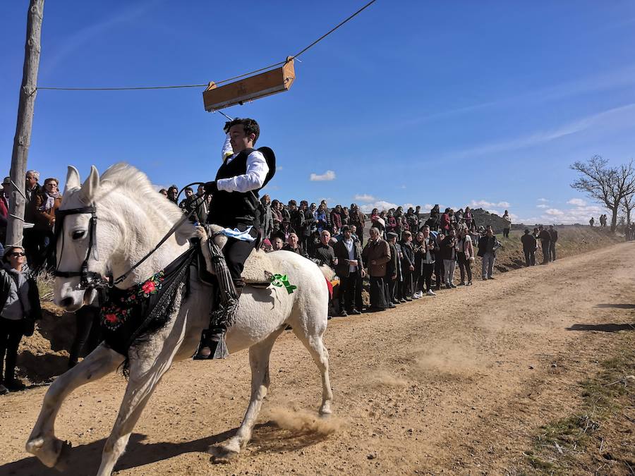 Fotos: Carrera de cintas de los quintos de Torrelobatón