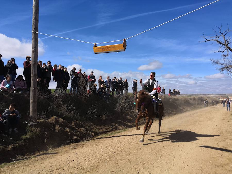 Fotos: Carrera de cintas de los quintos de Torrelobatón