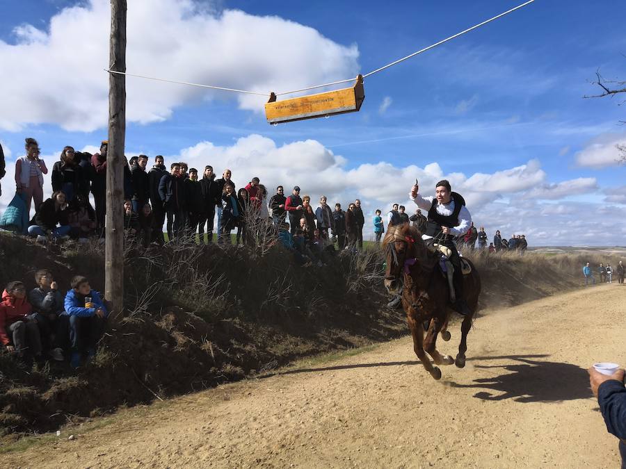 Fotos: Carrera de cintas de los quintos de Torrelobatón