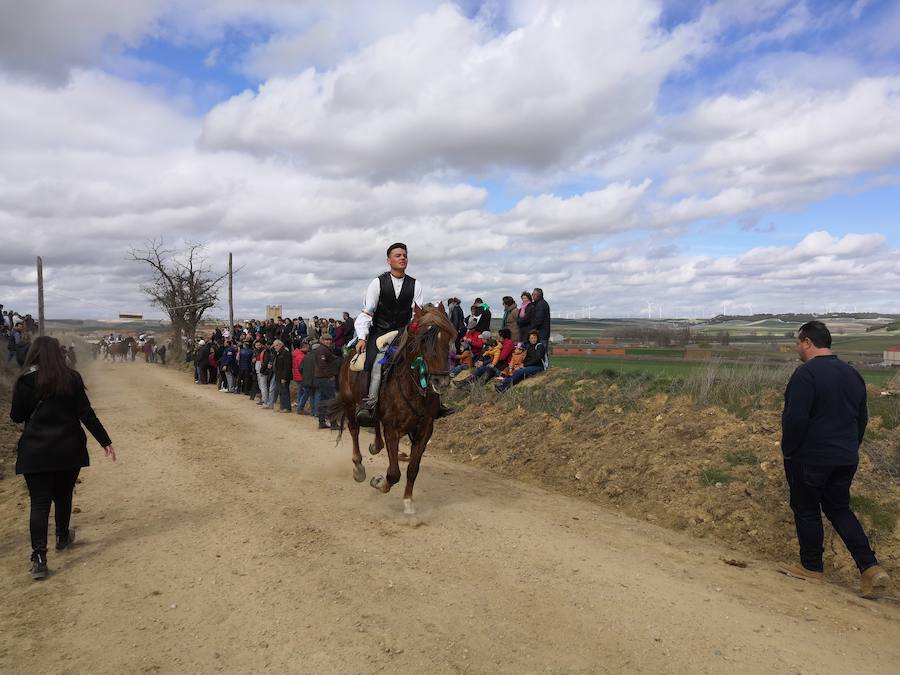 Fotos: Carrera de cintas de los quintos de Torrelobatón