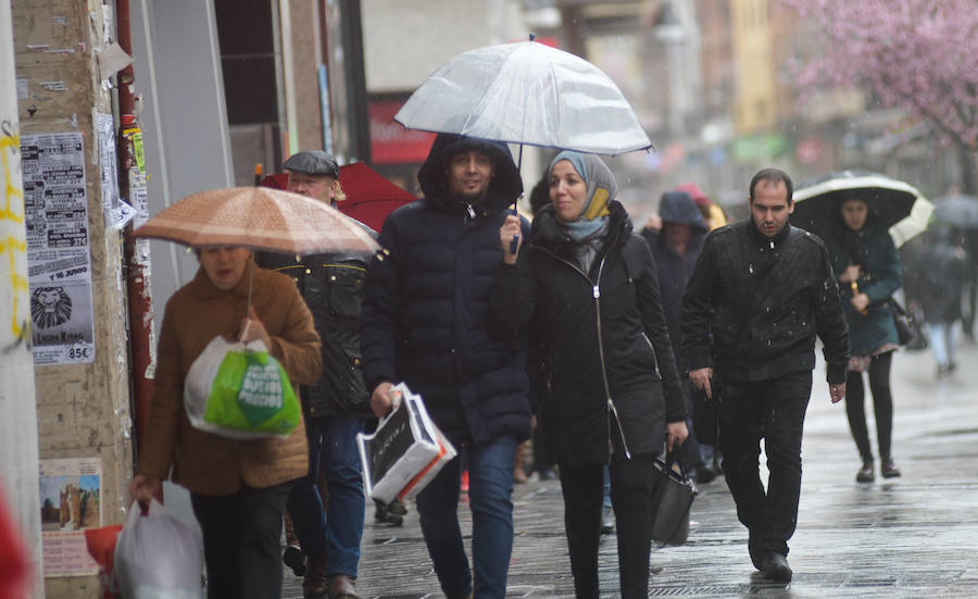 Fotos: Lluvia y viento en Valladolid