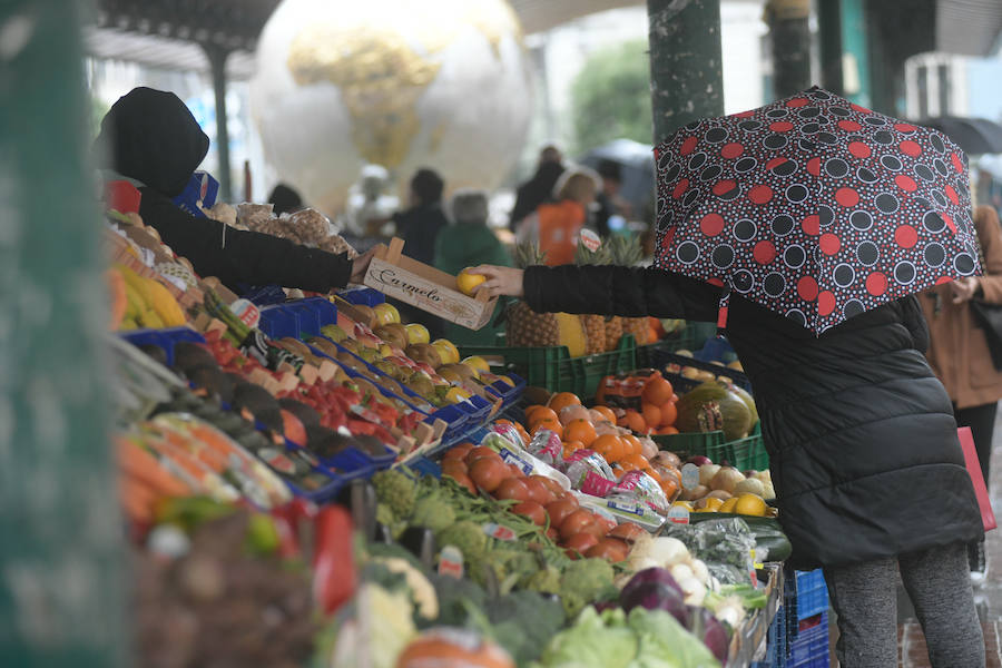 Fotos: Lluvia y viento en Valladolid