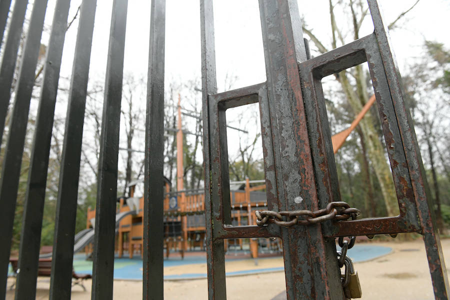 Fotos: Lluvia y viento en Valladolid