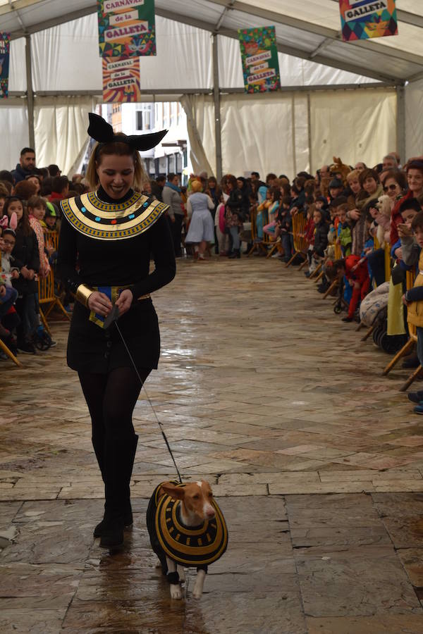 Fotos: Las mascotas de Aguilar también viven el Carnaval