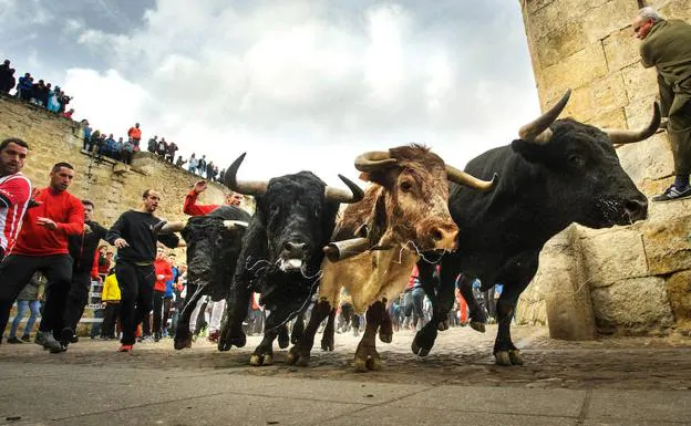 Los toros de la ganadería de El Canario enfilan hacia la bóveda del Registro el lunes de carnaval. 