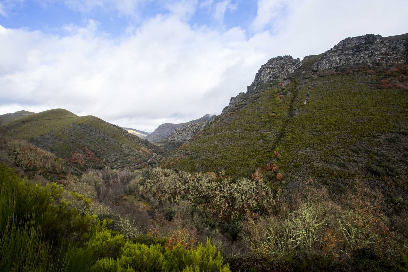 Osos y lobos, musgos y líquenes en una montaña mágica, reserva de la Biosfera, que invita a degustar su secreto profundo